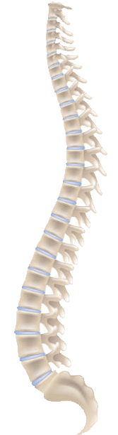 spine surgery